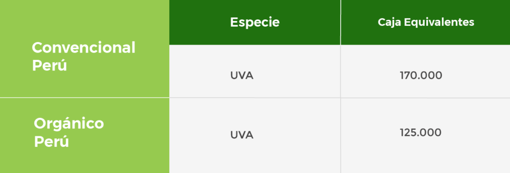 Productos